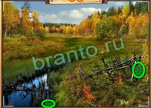 ответы на игру Усатое расследование в одноклассниках Уровень 811