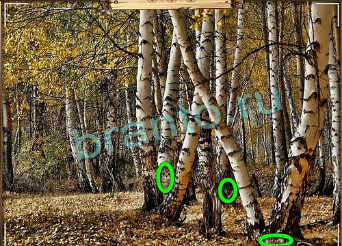 ответы на игру в одноклассниках Усатое расследование Уровень 816