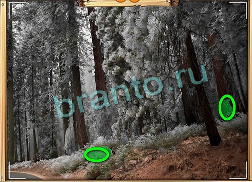 Одноклассники Усатое расследование ответы Уровень 818