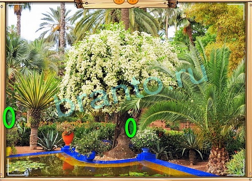 Усатое расследование ответы в картинках в контакте Уровень 826