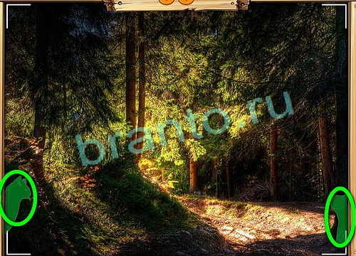 Игра Усатое расследование ответы вк Уровень 827