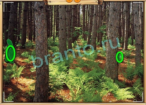 Усатое расследование решения Уровень 832