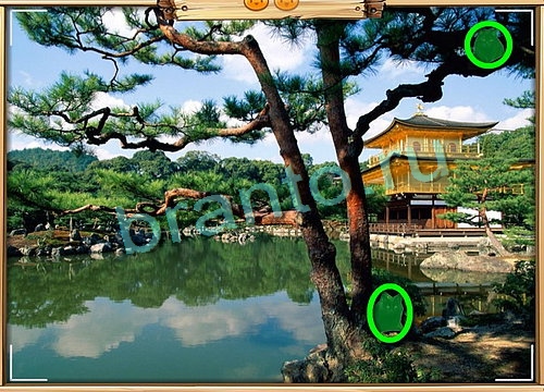 Усатое расследование игра ответы Уровень 833