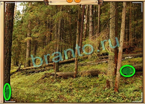 Усатое расследование ответы в картинках Уровень 836