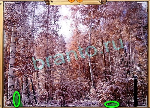 Игра Усатое расследование подсказки вконтакте Уровень 838