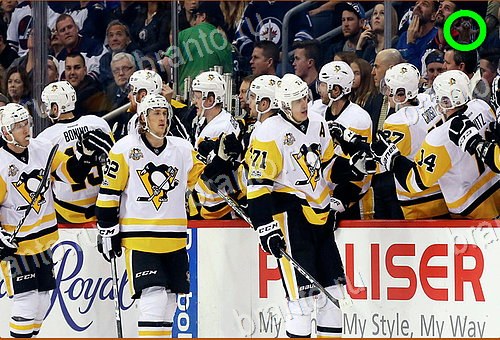 подсказки Найди кота Уровень 512