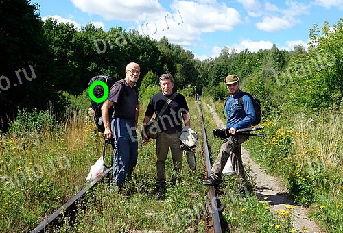 решебник на игру Найди кота Уровень 519