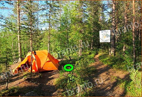 Найди кота игра ВК ответы Уровень 521