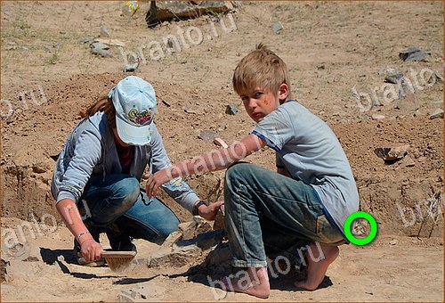 ответы на игру Найди кота Уровень 522