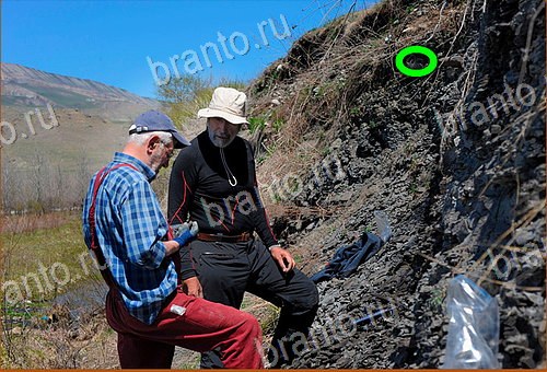 ответы на игру Найди кота Уровень 523