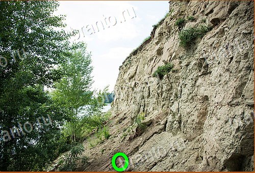 ответы на игру Найди кота Уровень 524