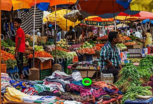 ответы на игру Найди кота Уровень 525