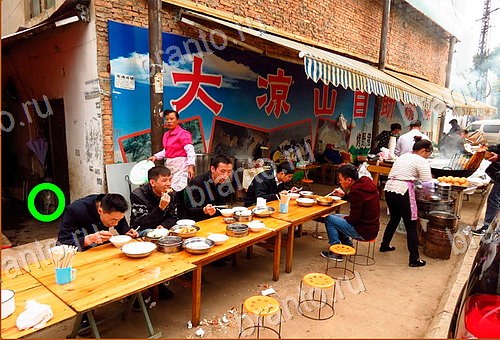 ответы на игру Найди кота Уровень 527