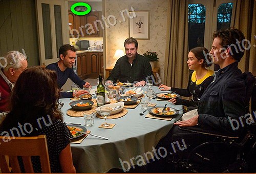 подсказки на игру Найди кота Уровень 530