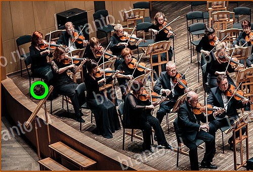 игра Найди кота ответы на все уровни 21