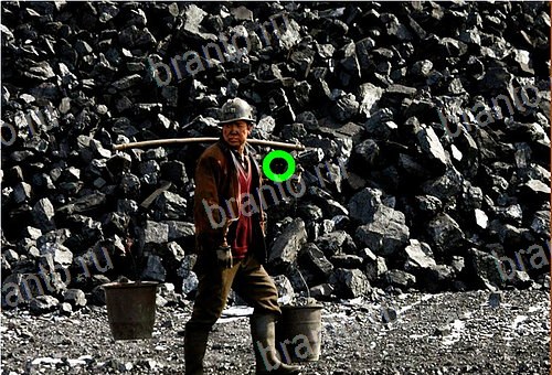 ответы на игру Найди кота Уровень 535