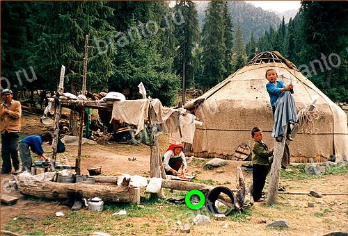 фотоответы на игру Найди кота Уровень 536