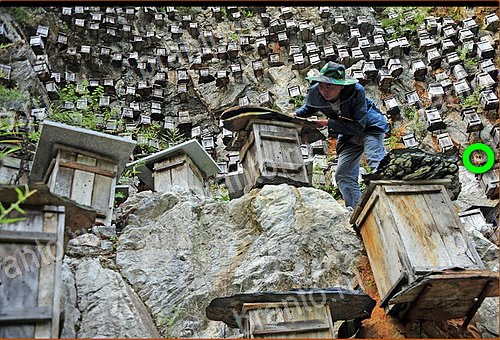 фото-ответы на игру Найди кота Уровень 539