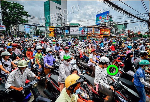 ответы на игру Найди кота уровень 540