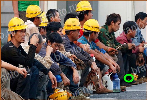 подсказки Найди кота Уровень 542