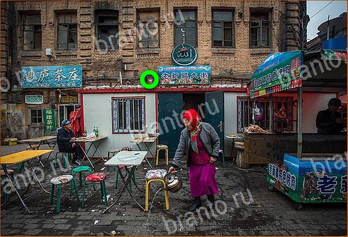 прохождение игры Найди кота Уровень 545