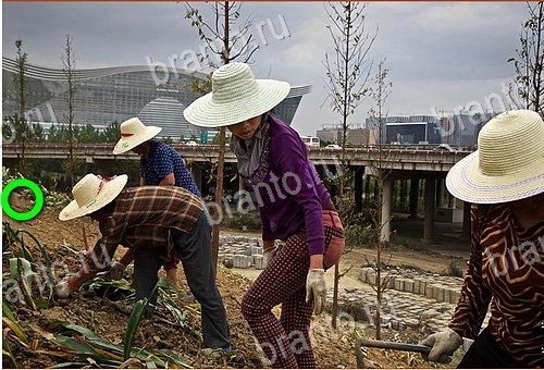 решебник на игру Найди кота Уровень 549