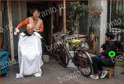 Найди кота игра ВК ответы Уровень 551