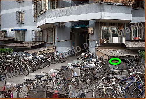 ответы на игру Найди кота Уровень 552