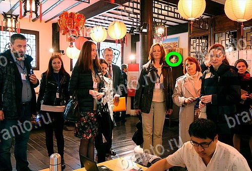 ответы на игру Найди кота Уровень 555