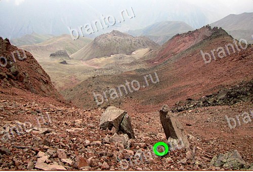 ответы на игру Найди кота Уровень 557