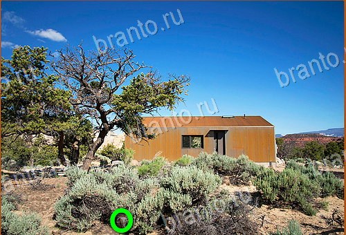 ответы на игру Найди кота Уровень 558