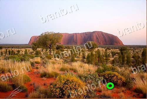 решения на игру Найди кота Уровень 559