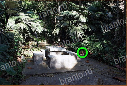 подсказки на игру Найди кота Уровень 560