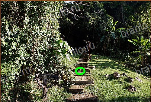 ответы на игру Найди кота Уровень 562