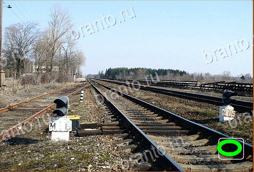 фотоответы на игру Найди кота Уровень 566