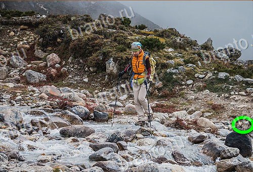 ключи на игру Найди кота Уровень 568