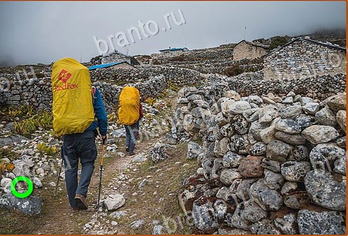 фото-ответы на игру Найди кота Уровень 569