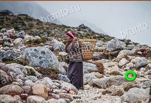 подсказки Найди кота Уровень 572