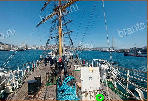 прохождение игры Найди кота Уровень 575