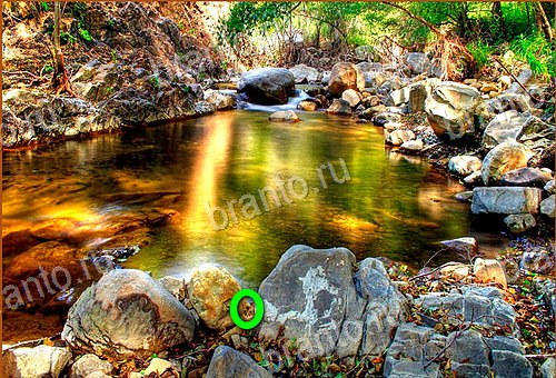 игра Найди кота ответы на все уровни 21