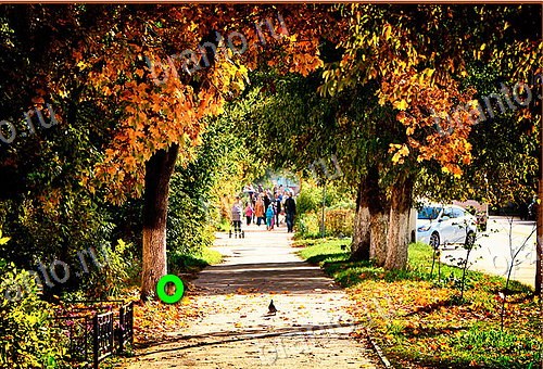 ответы на игру Найди кота Уровень 592