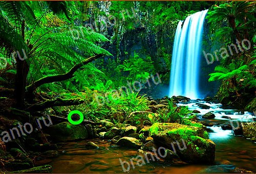 ответы на игру Найди кота Уровень 595