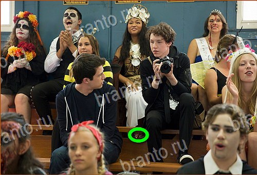 ответы на игру Найди кота Уровень 613