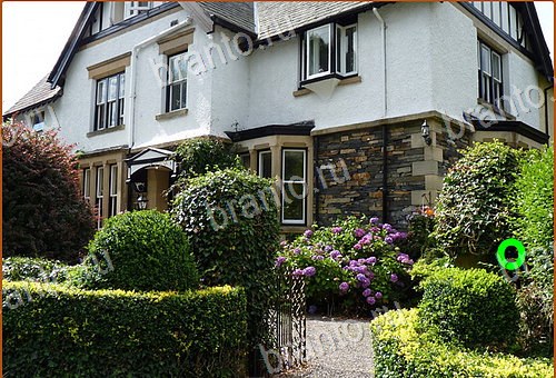 ответы на игру Найди кота Уровень 624