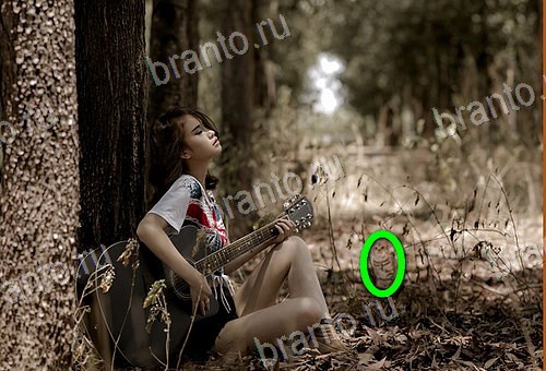 ответы на игру Найди кота Уровень 625