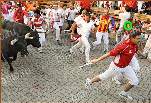 ключи на игру Найди кота Уровень 637