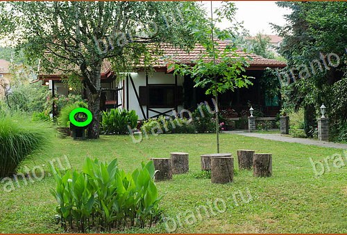 решебник на игру Найди кота Уровень 639