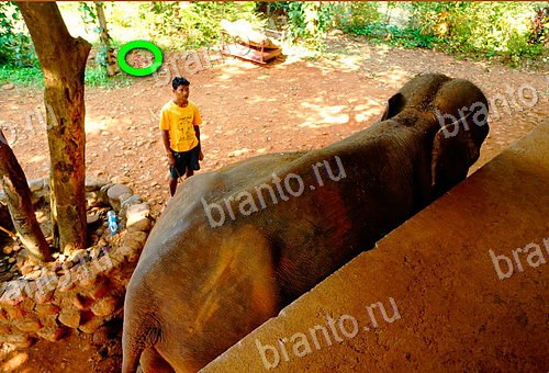 ответы на игру Найди кота Уровень 648