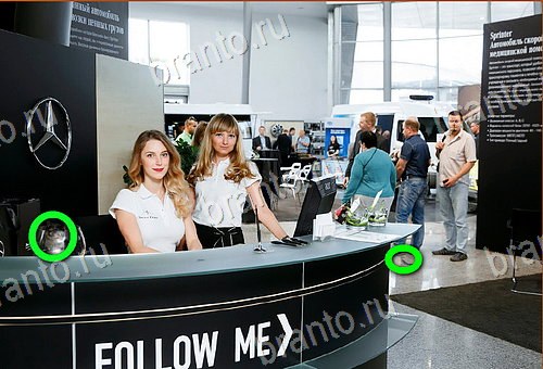 решения на игру Найди кота Уровень 663