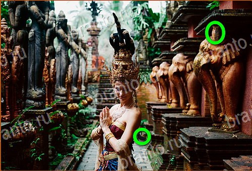 помощь на игру Найди кота Уровень 664